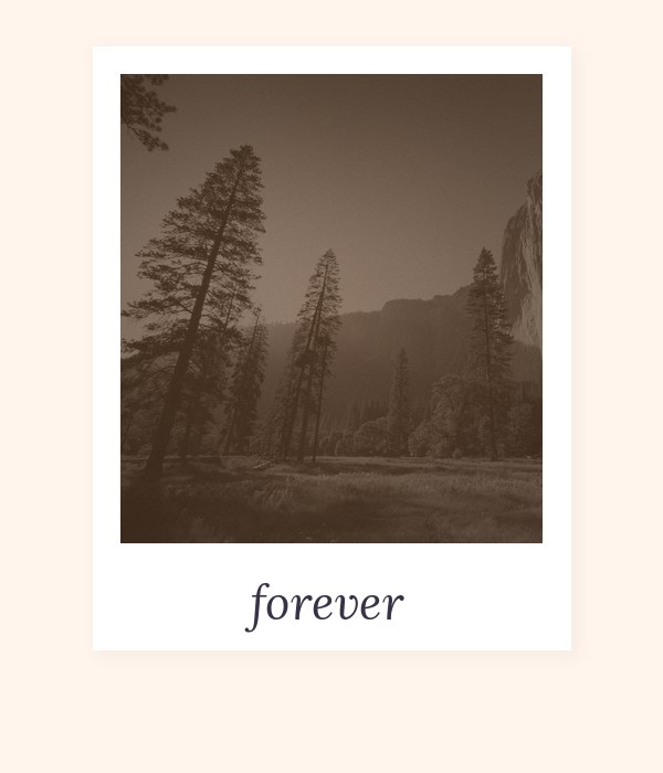 Aesthetic scrapbook photobooth collage example 2 — PolaroidCam